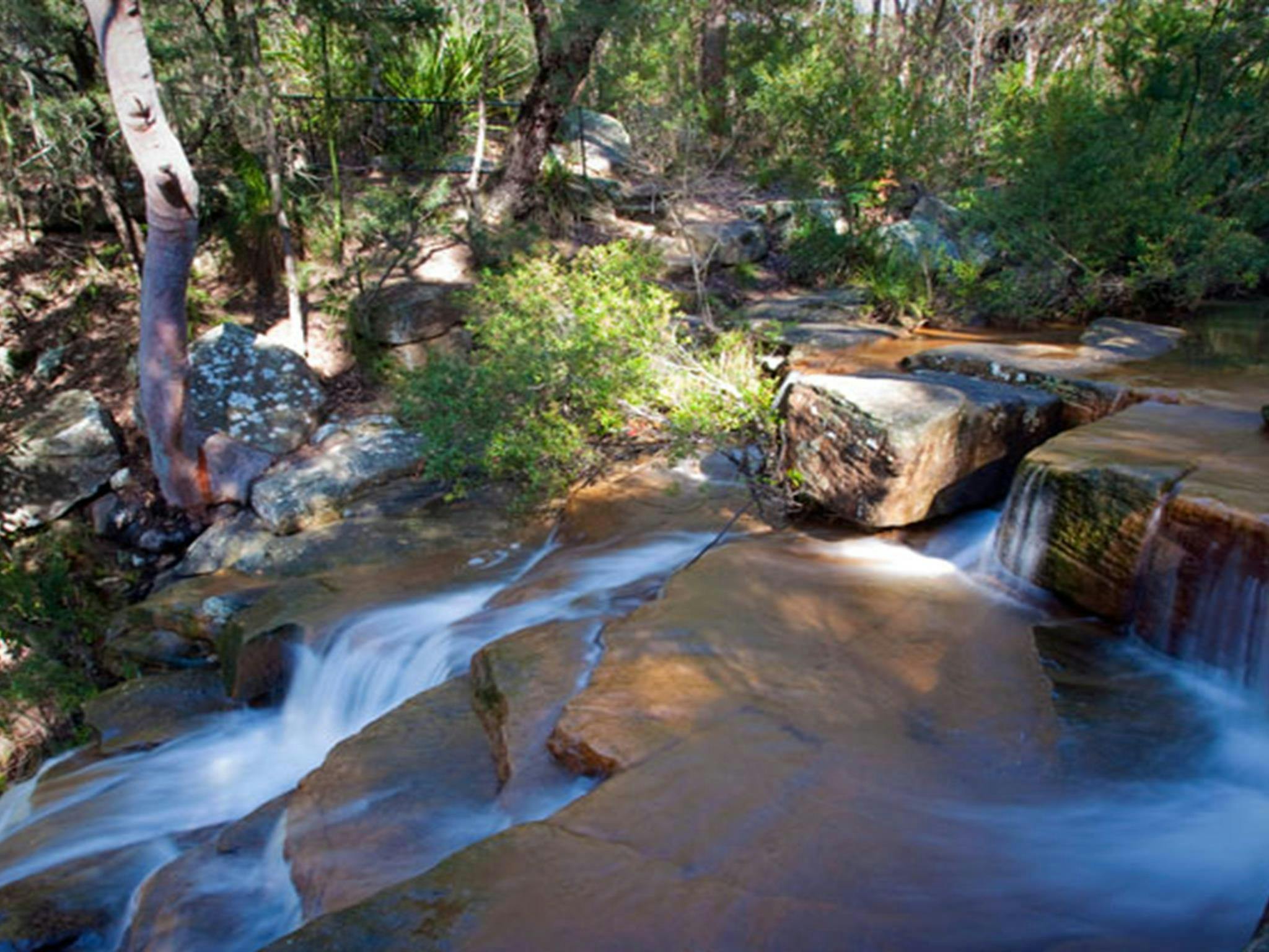 Garawarra State Conservation Area. Photo: Nick Cubbin &copy; DPIE