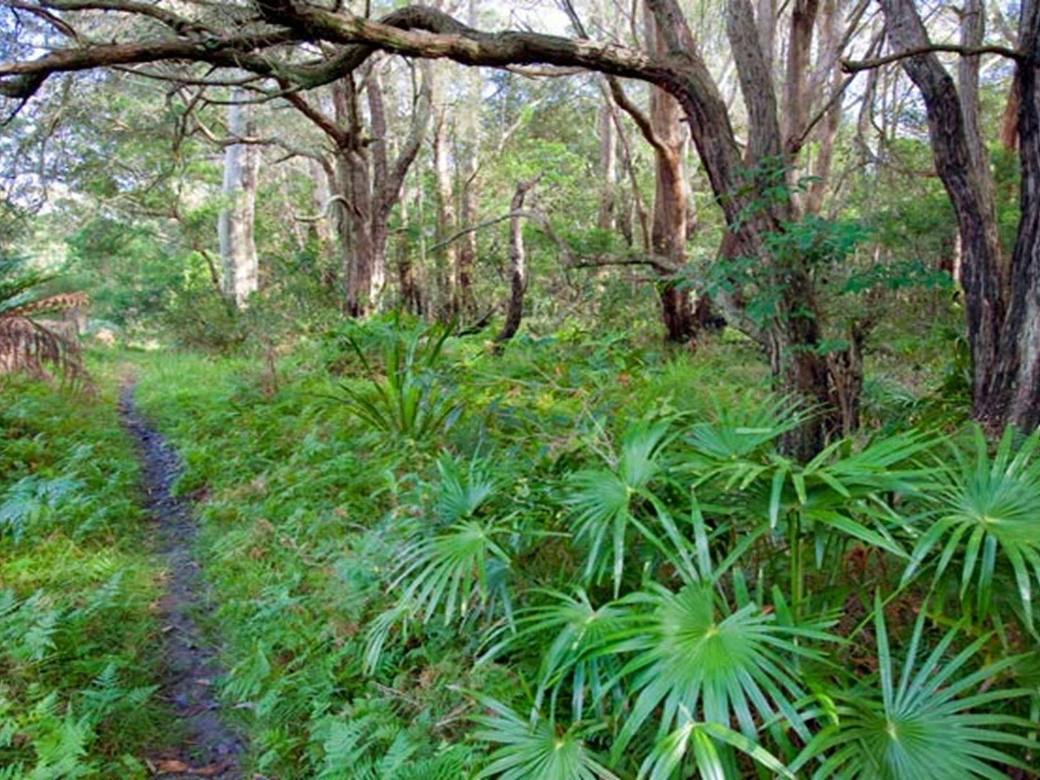 Garawarra State Conservation Area. Photo: Nick Cubbin &copy; DPIE