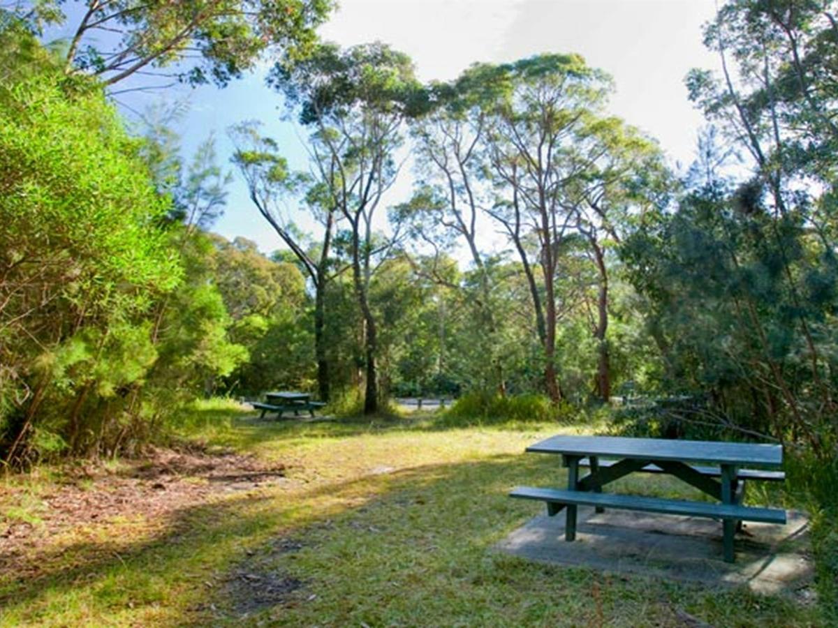 Garawarra State Conservation Area. Photo: Nick Cubbin &copy; DPIE