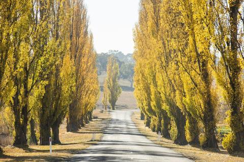 Rylstone Caravan Park