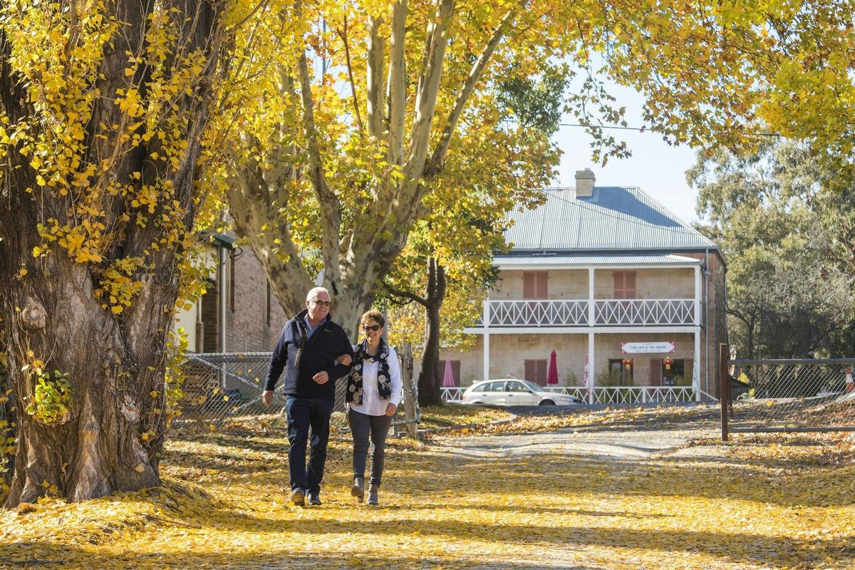 Rylstone Township