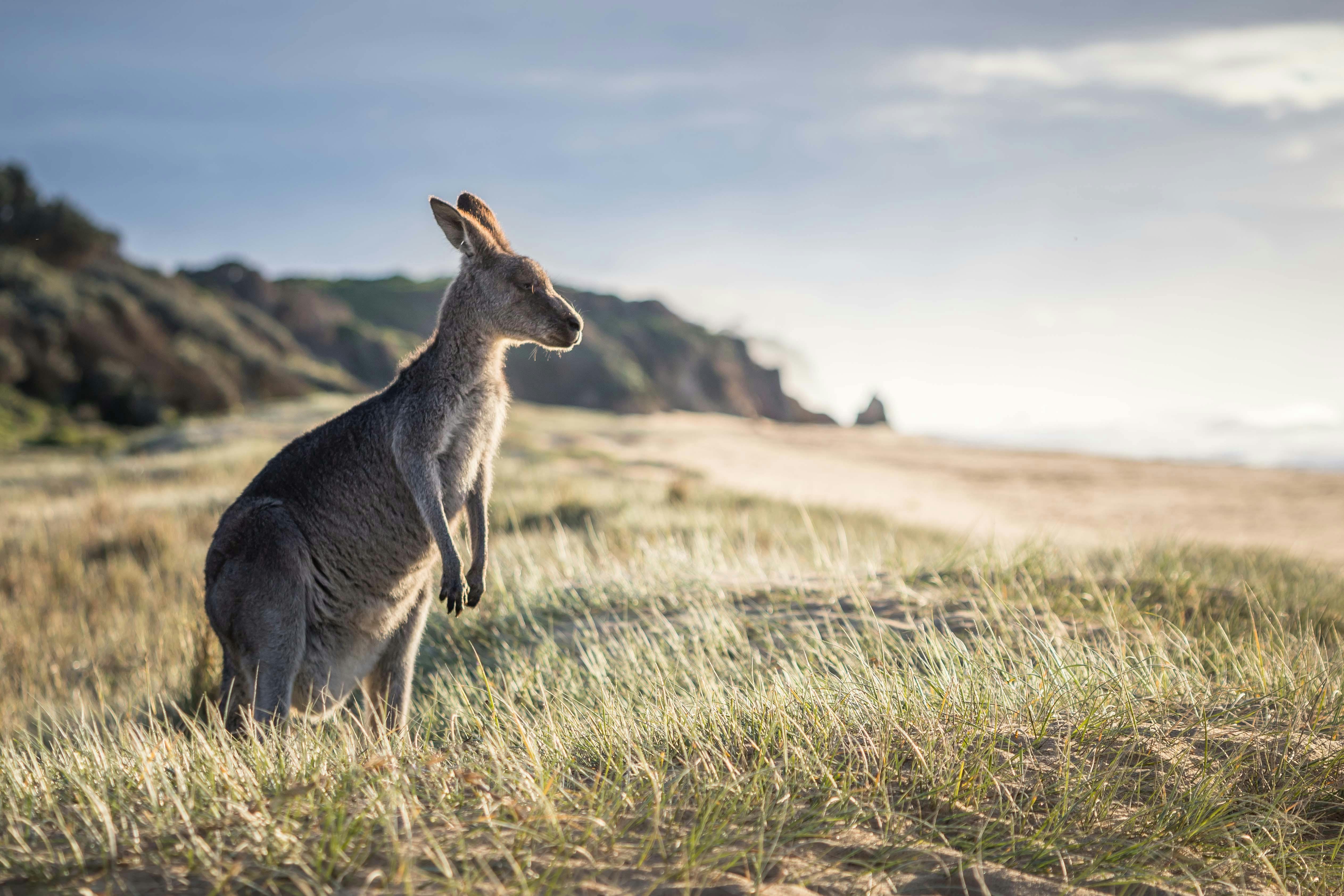 Gillards Beach, Mimosa Rocks National Park