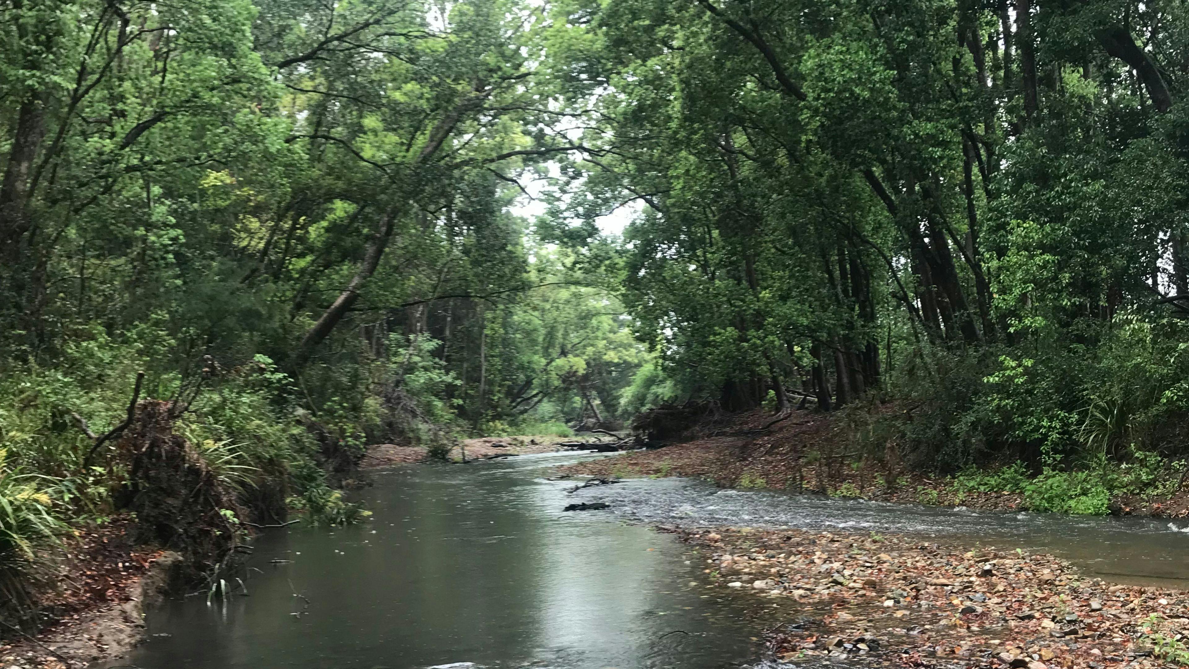 Tallowood Creek Camp