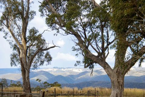 Shearers Cottage Curraweela