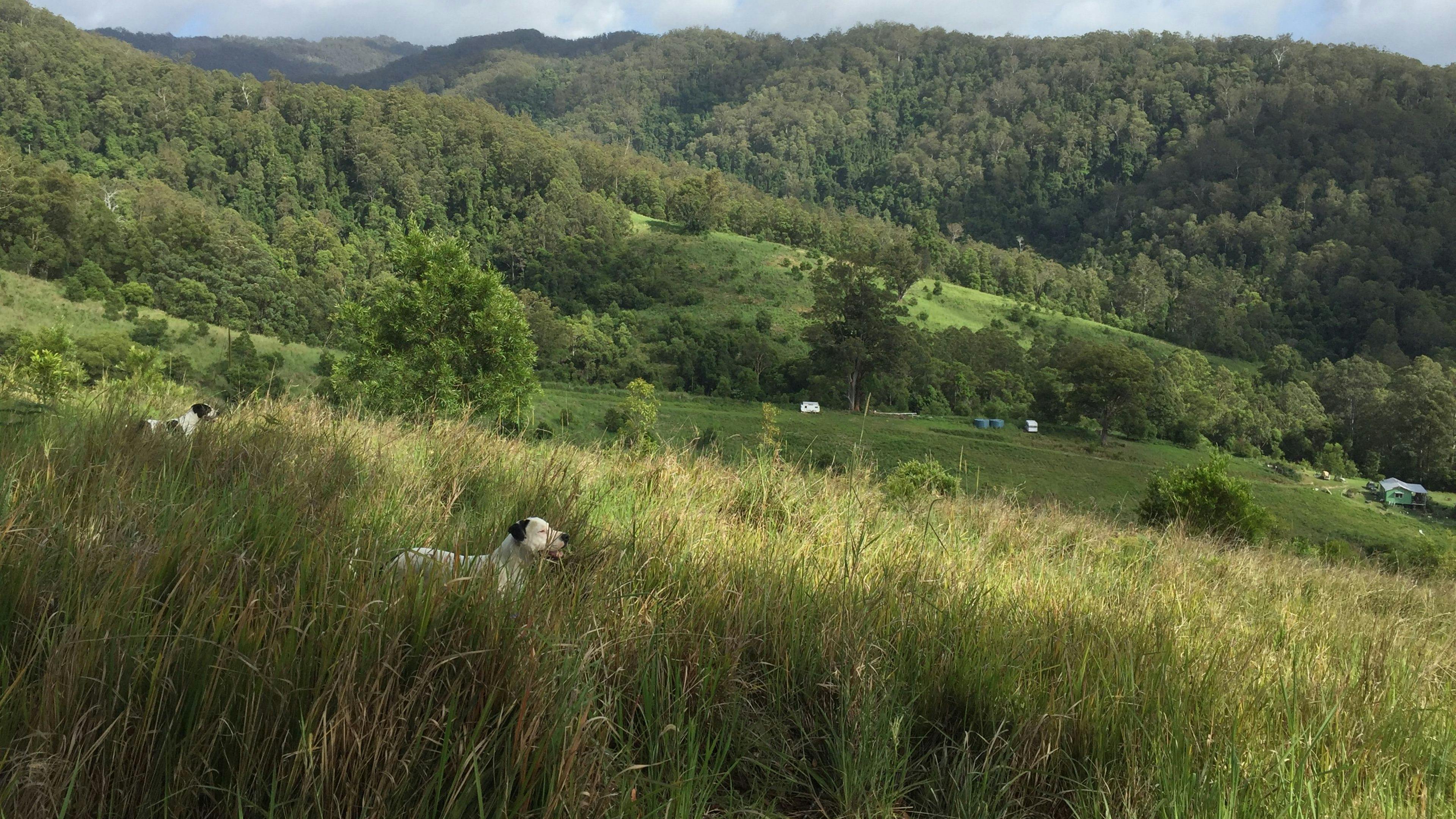 CLICK TO VIEW GALLERY