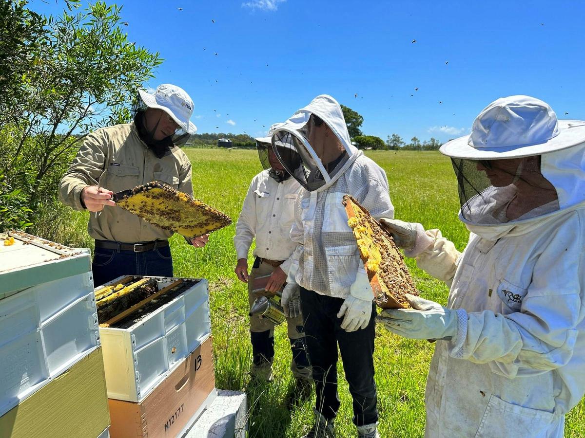 Gather By Manuka Honey