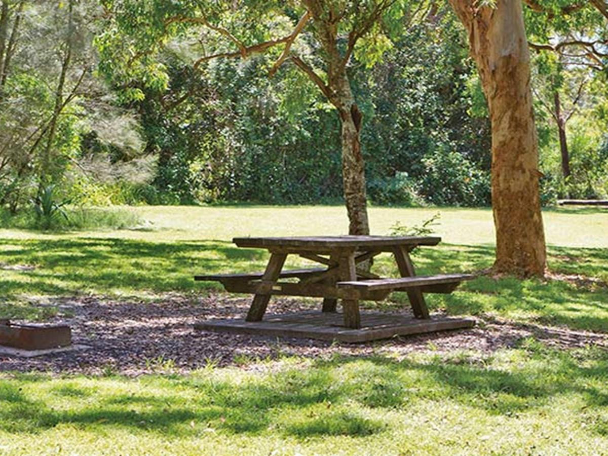 Station Creek campground, Yuraygir National Park. Photo: Rob Cleary/DPIE
