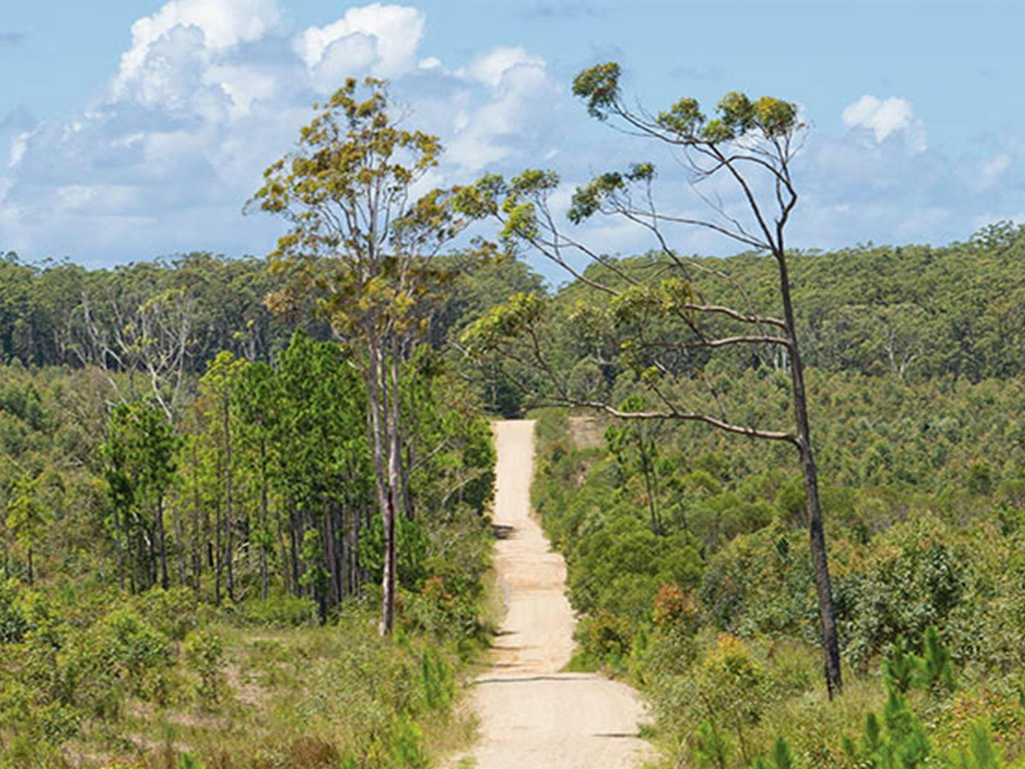 Station Creek campground, Yuraygir National Park. Photo: Rob Cleary/DPIE
