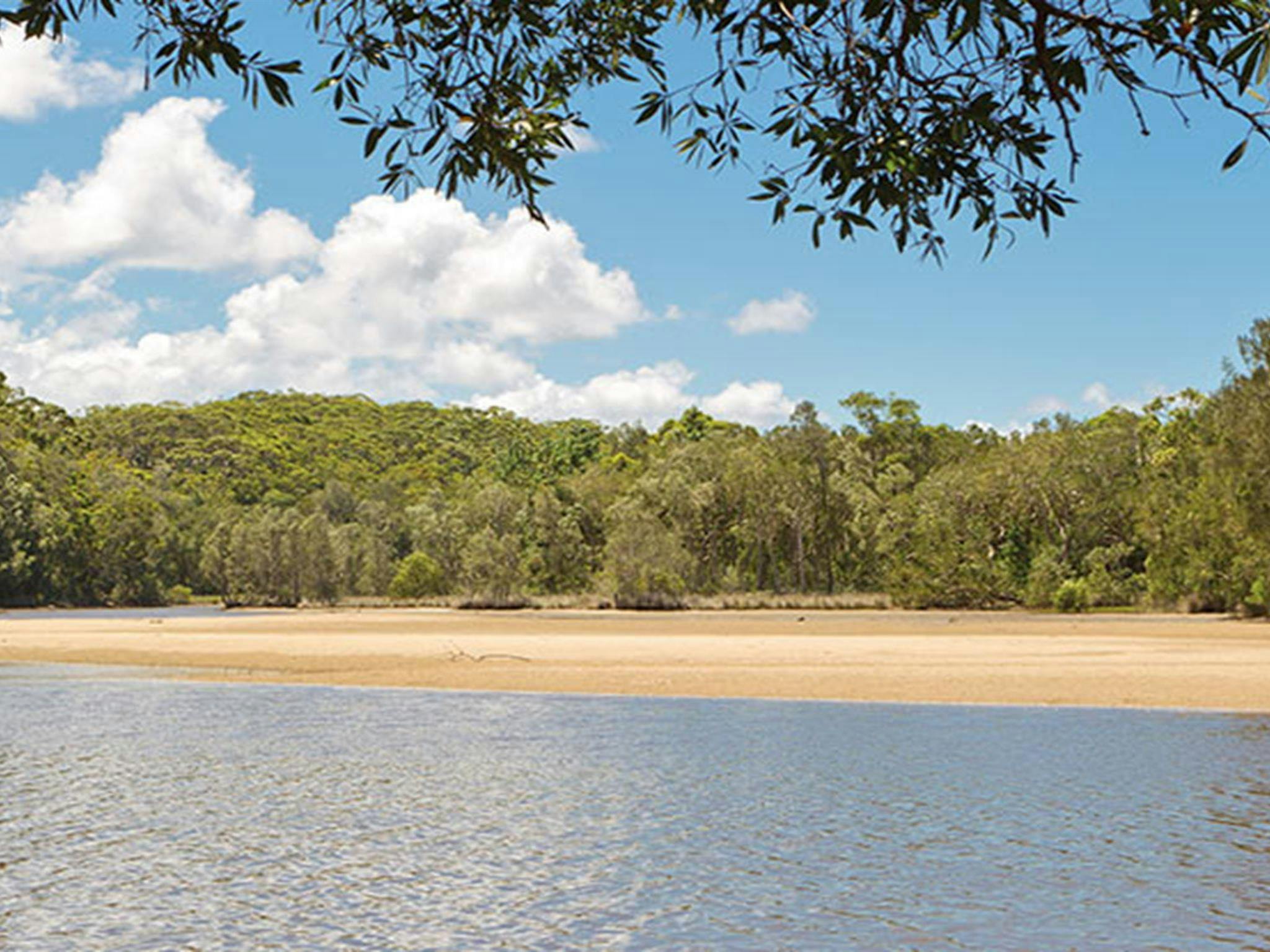 Station Creek campground, Yuraygir National Park. Photo: Rob Cleary/DPIE