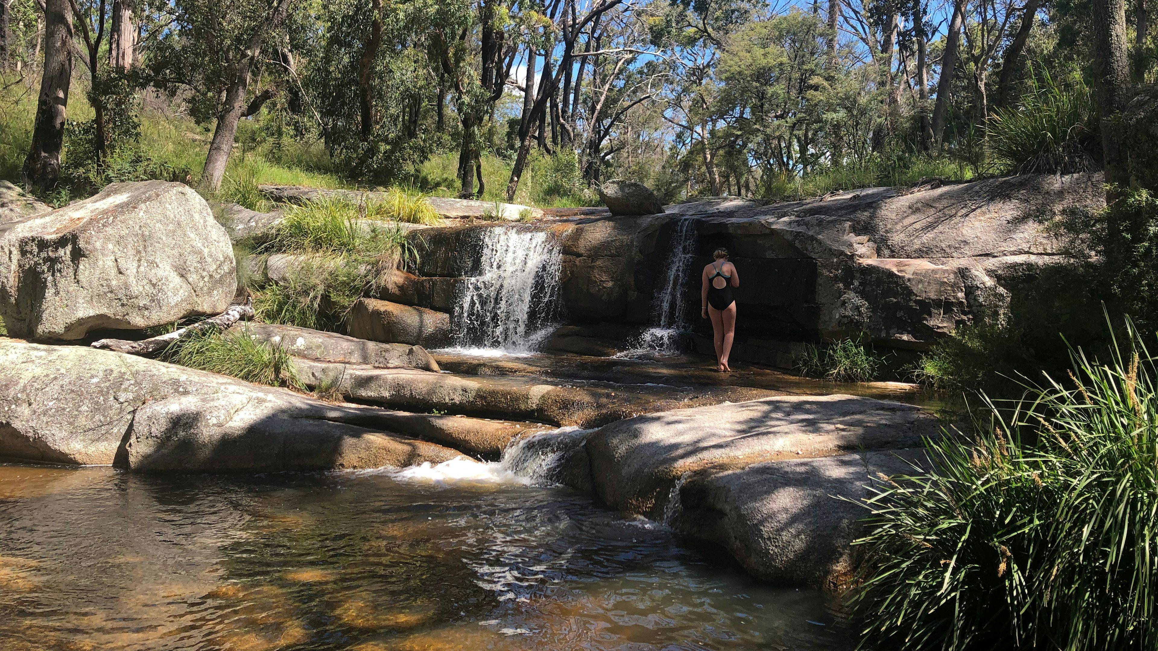 Splitters Swamp Creek Waterfall