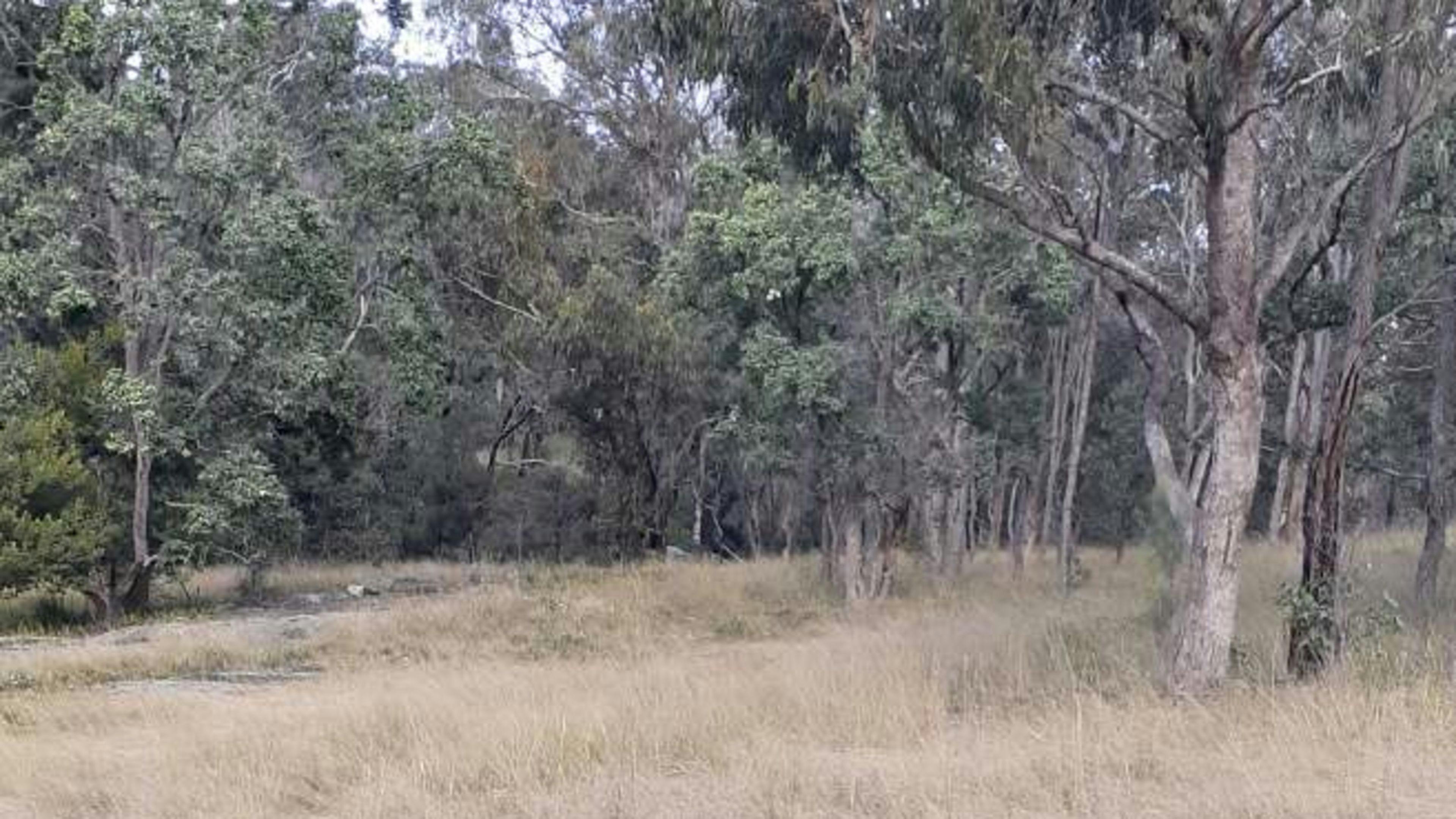 Splitters Swamp Creek Waterfall