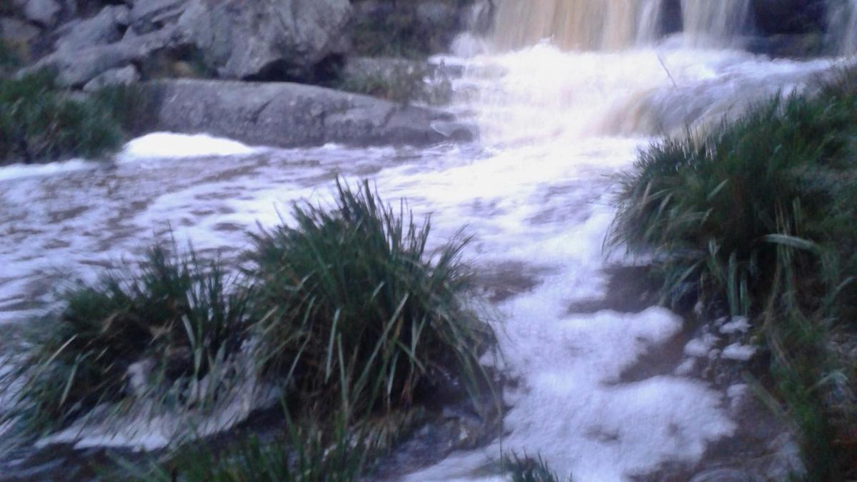 Splitters Swamp Creek Waterfall