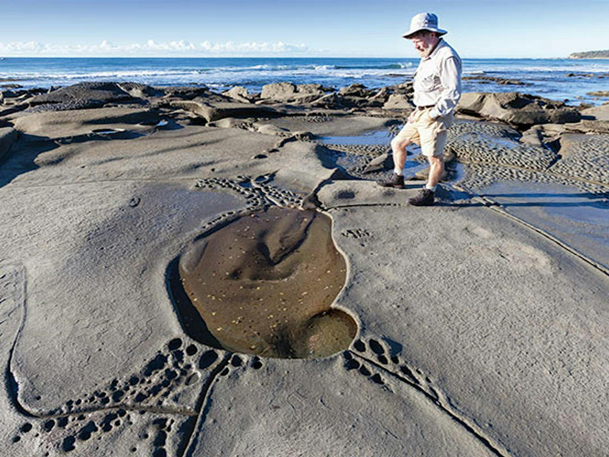 Shelley Head campground, Yuraygir National Park. Photo: Rob Cleary/NSW Government
