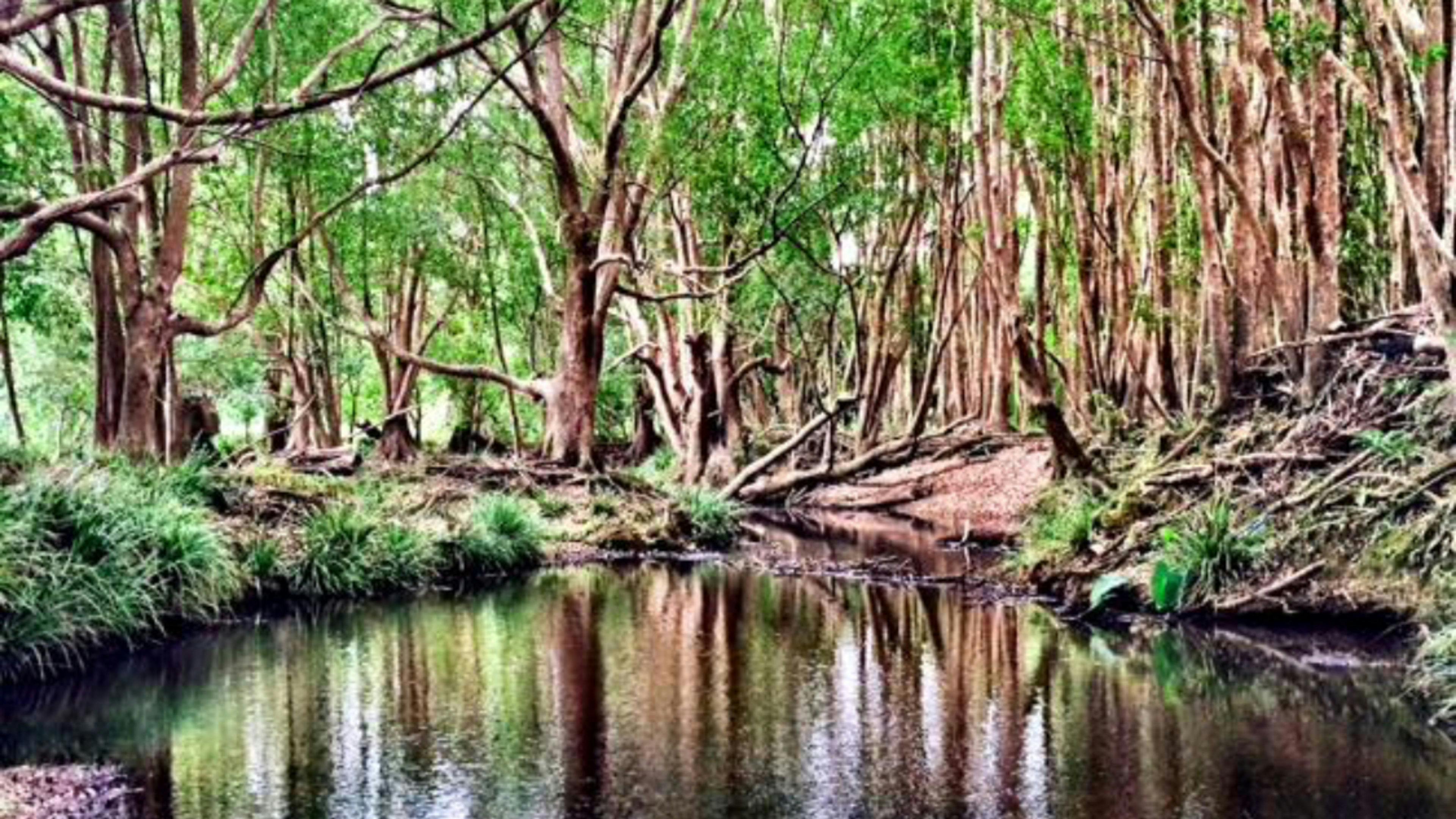 Camp by the creek on site 2