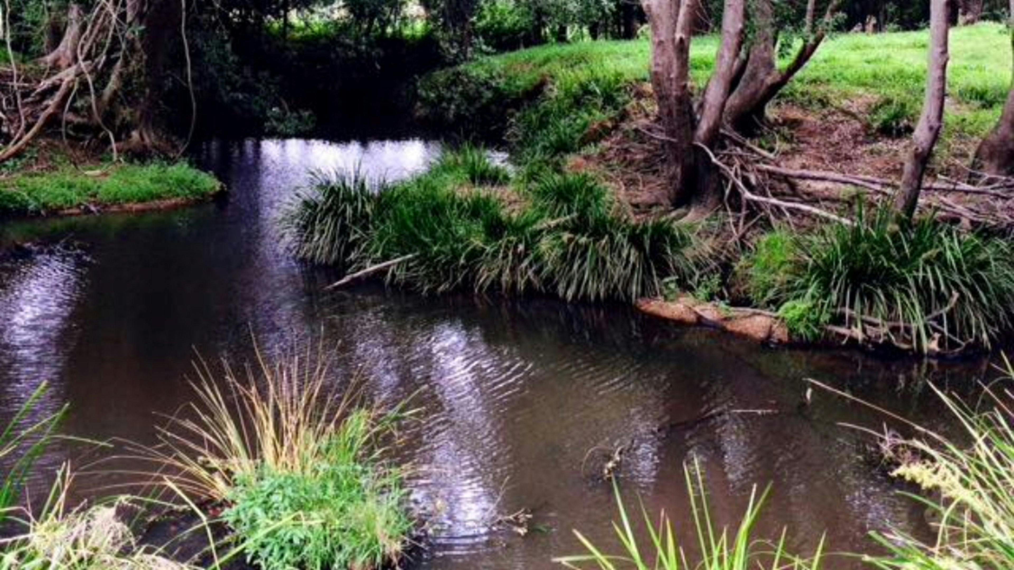 Stokers Creekside Stay