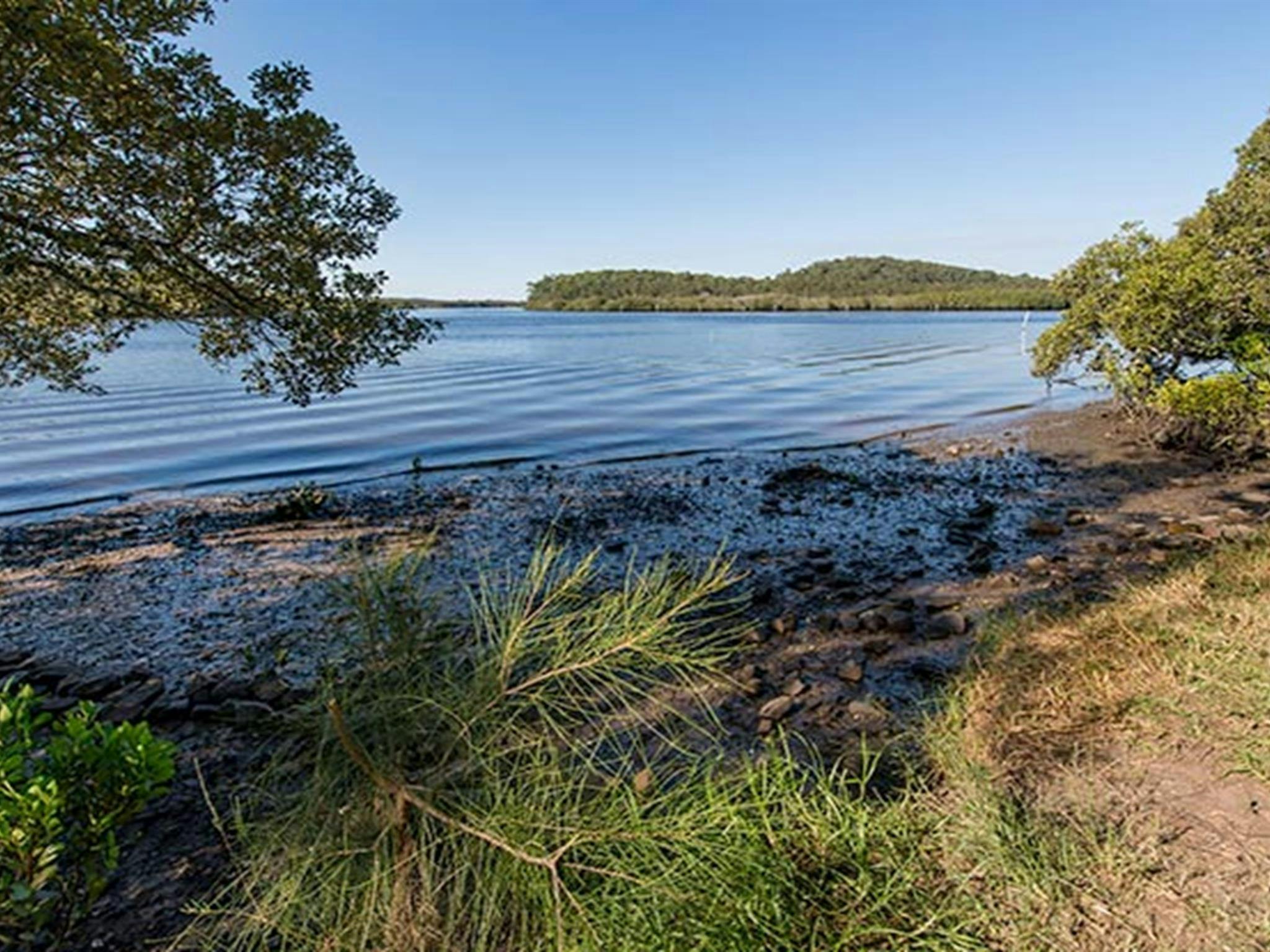 Tattersalls campground, Karuah National Park. Photo: John Spencer/NSW Government