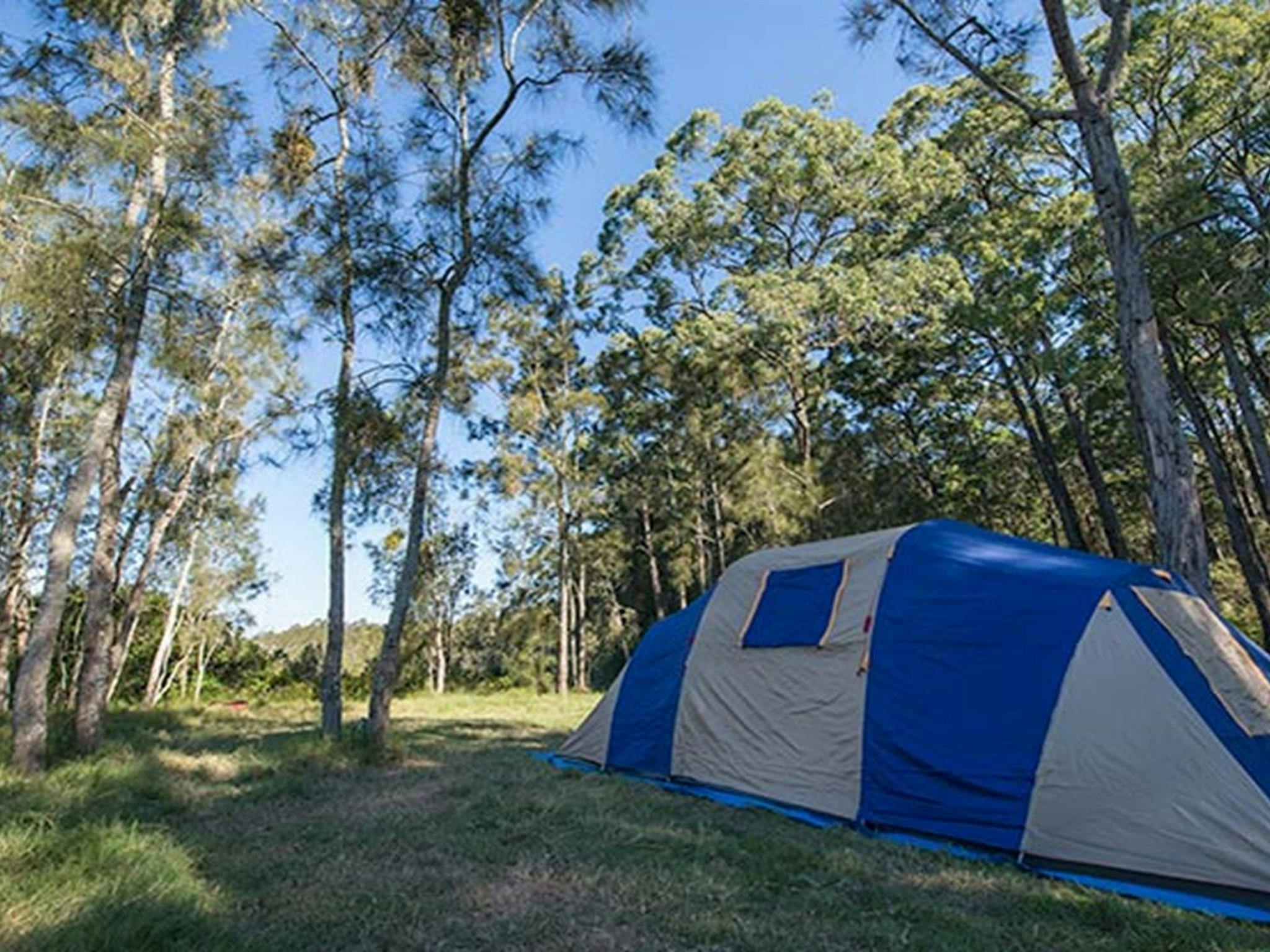Tattersalls campground, Karuah National Park. Photo: John Spencer/NSW Government
