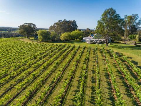 Spicers Vineyards Estate