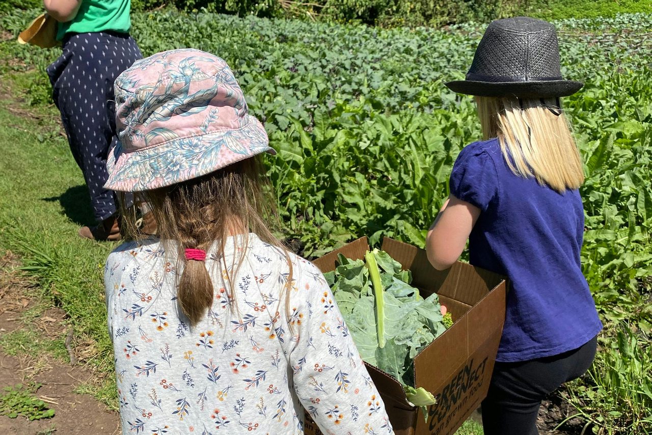Family farm tours delight the senses exploring a real farm