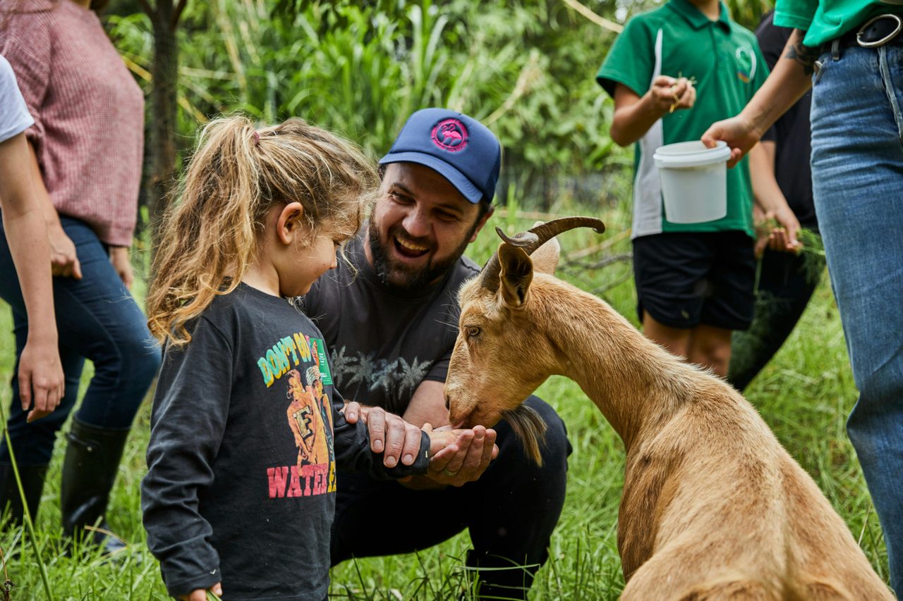 Feeding goats at the Green Connect Farm