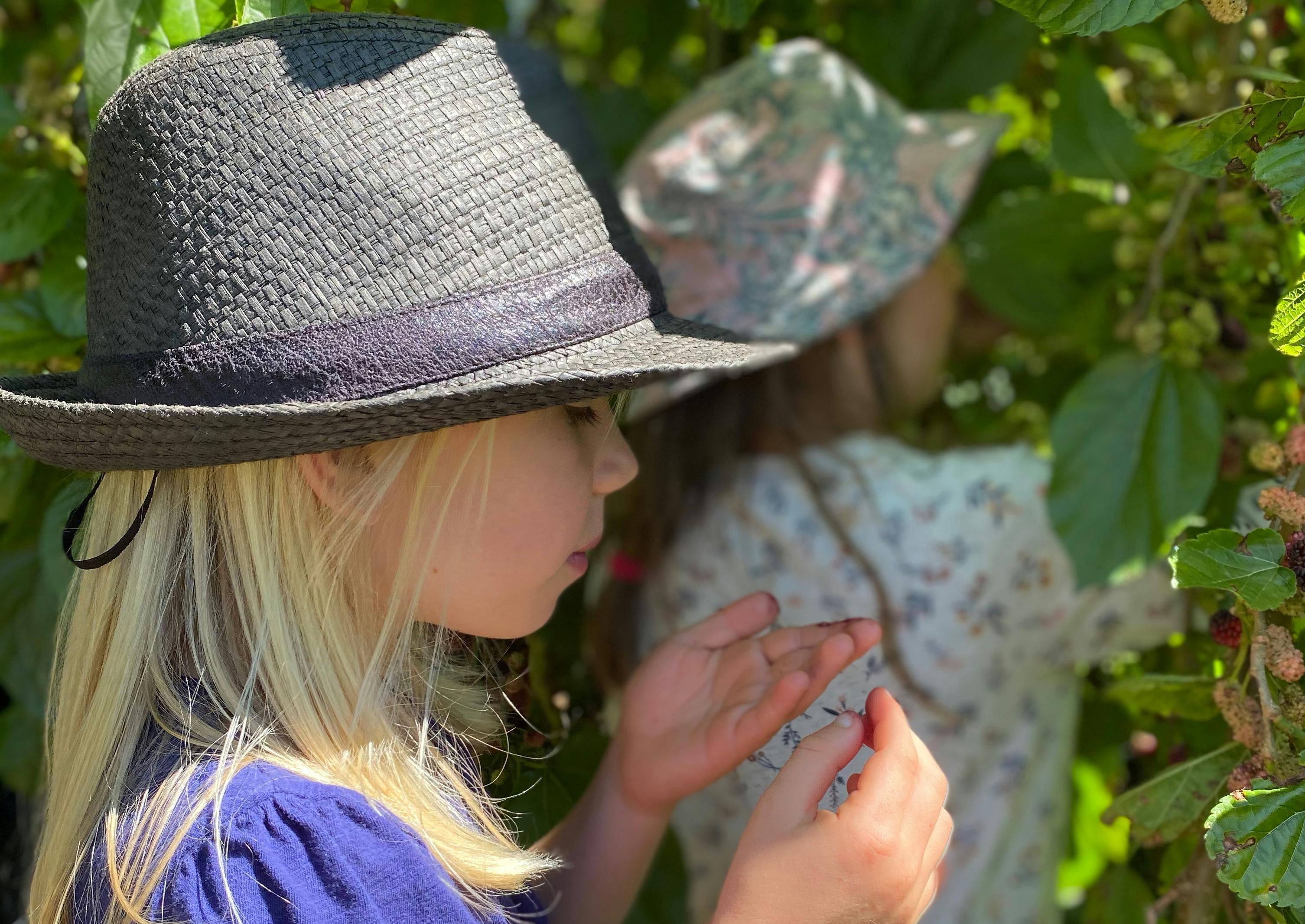 Children explore, touch and taste during our hands-on family farm tours