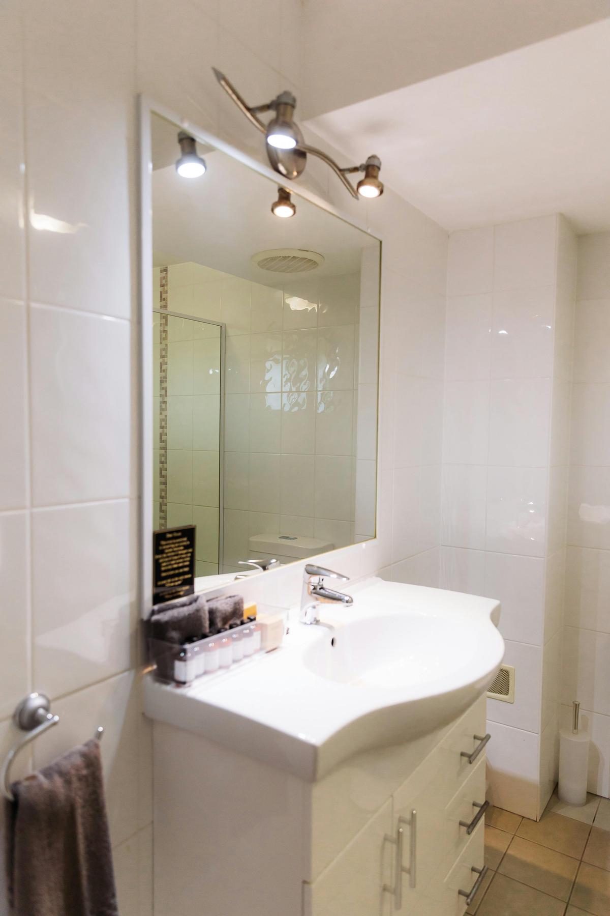 Family Room Bathroom