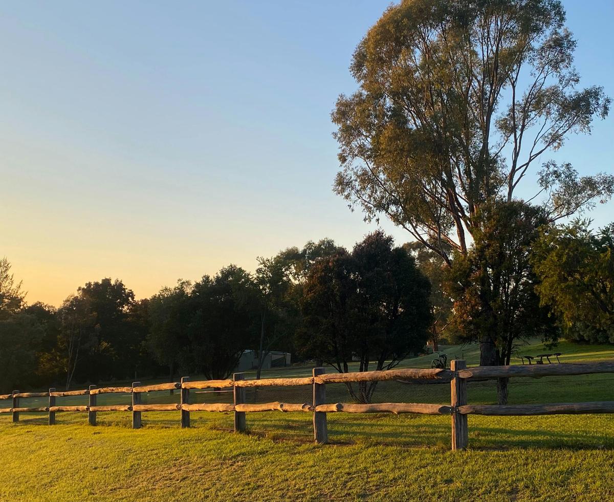 morning light