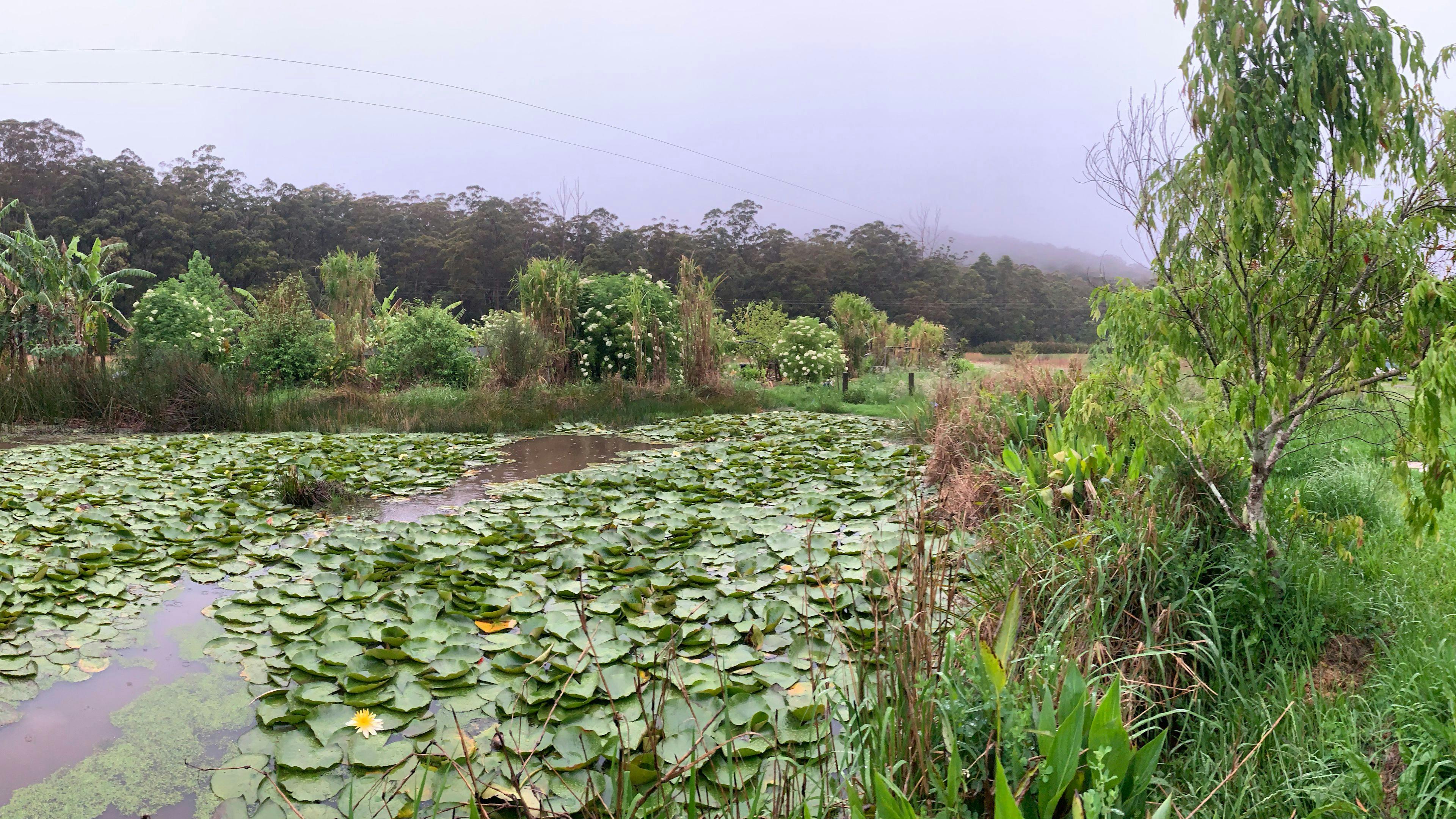 StoneyCreek Sanctuary Merrijig Farm