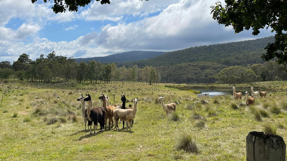 Spring Valley Lifestyle Retreat