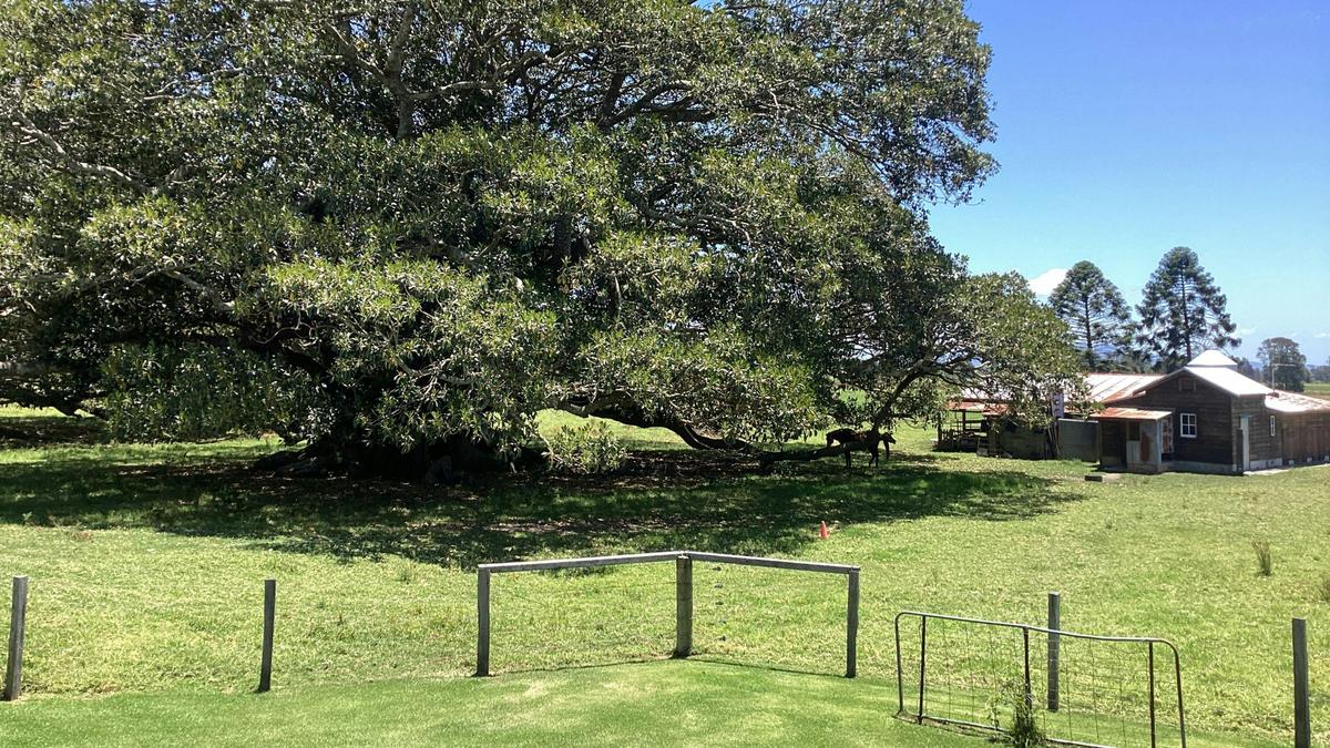 Summer Island Farm
