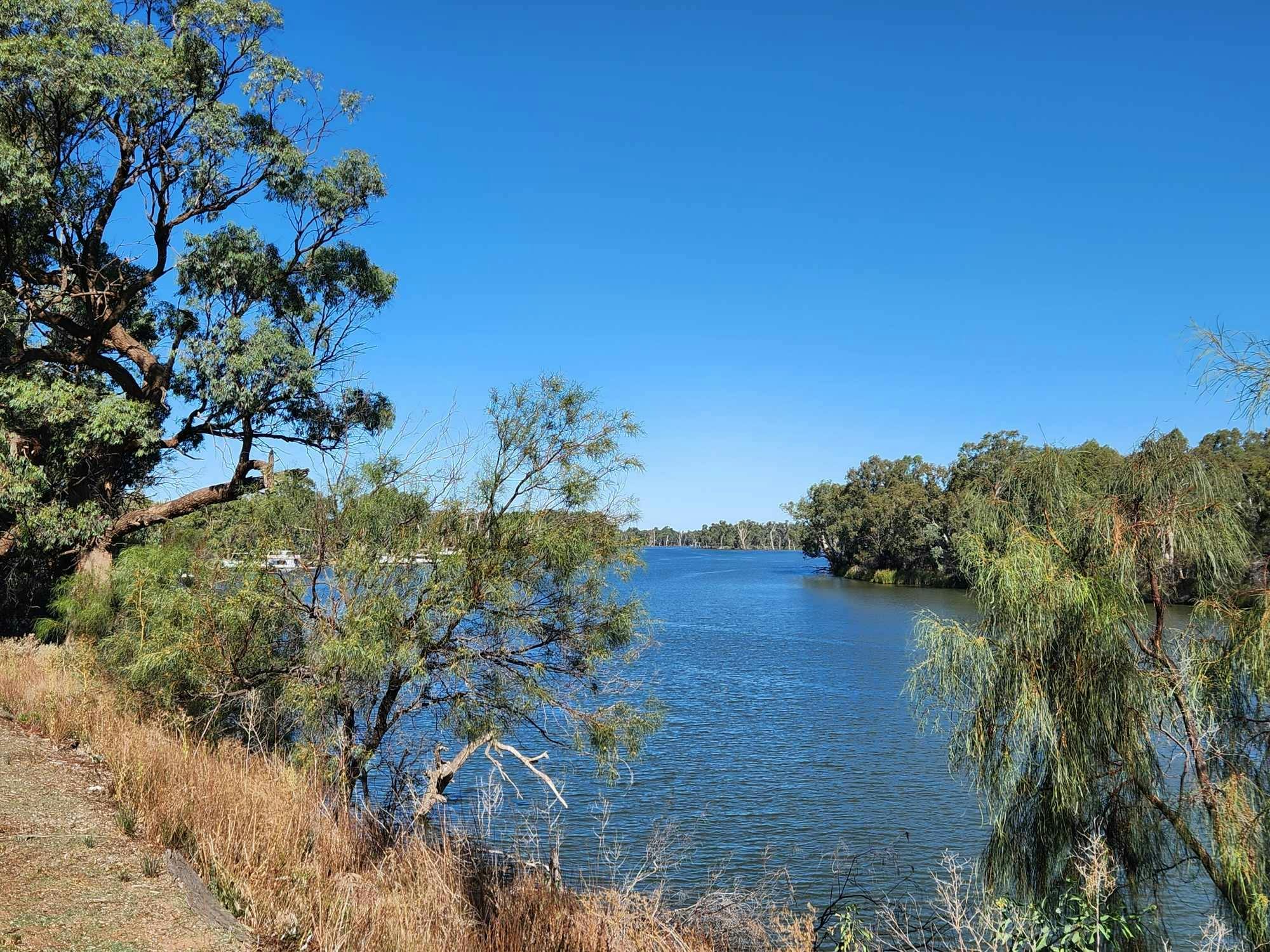 Murray River at Gol Gol