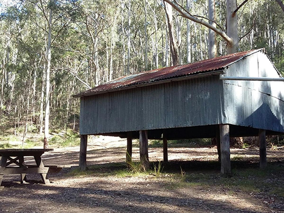 View of Sheepskin Hut and picnic table set in Wollemi bushland. Photo: Shayne Forty/OEH
