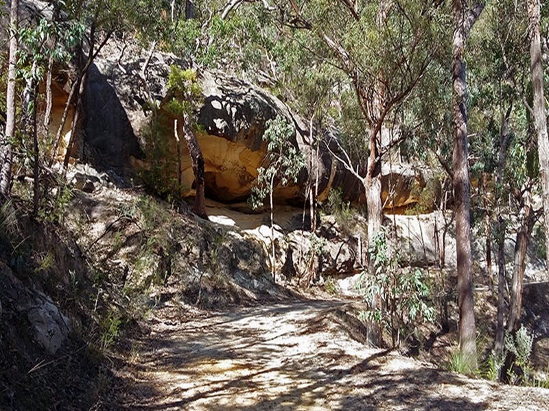 View of sharp bend in an unpaved road on the way to Sheepskin Hut, set in thick bushland in Wollemi 