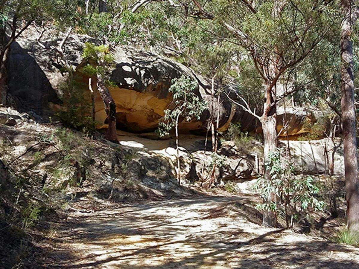 View of sharp bend in an unpaved road on the way to Sheepskin Hut, set in thick bushland in Wollemi