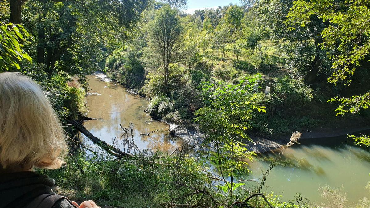 Fawcetts Creek