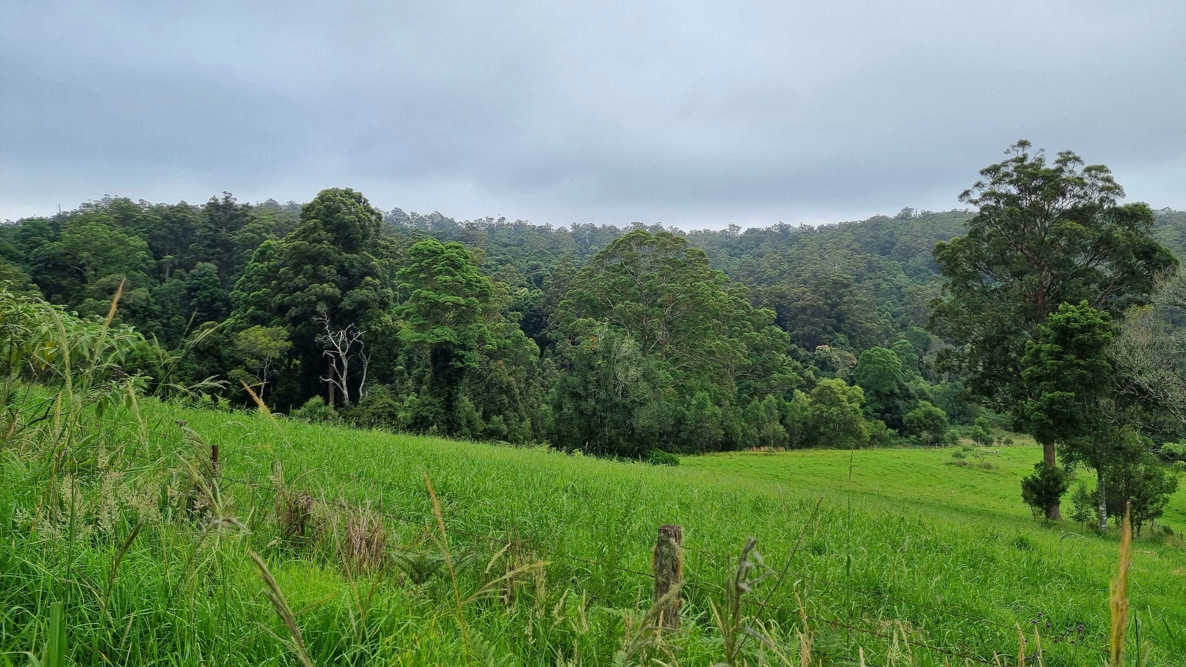 The view of our paddock, a short walk away.