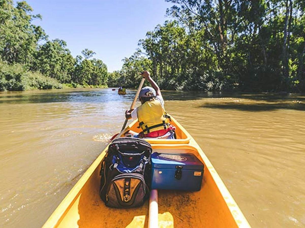 A kayaker paddles along the Murray River, Murray Valley National Park. Photo: B Ferguson/OEH