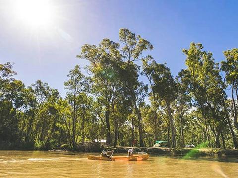 Swifts Creek campground