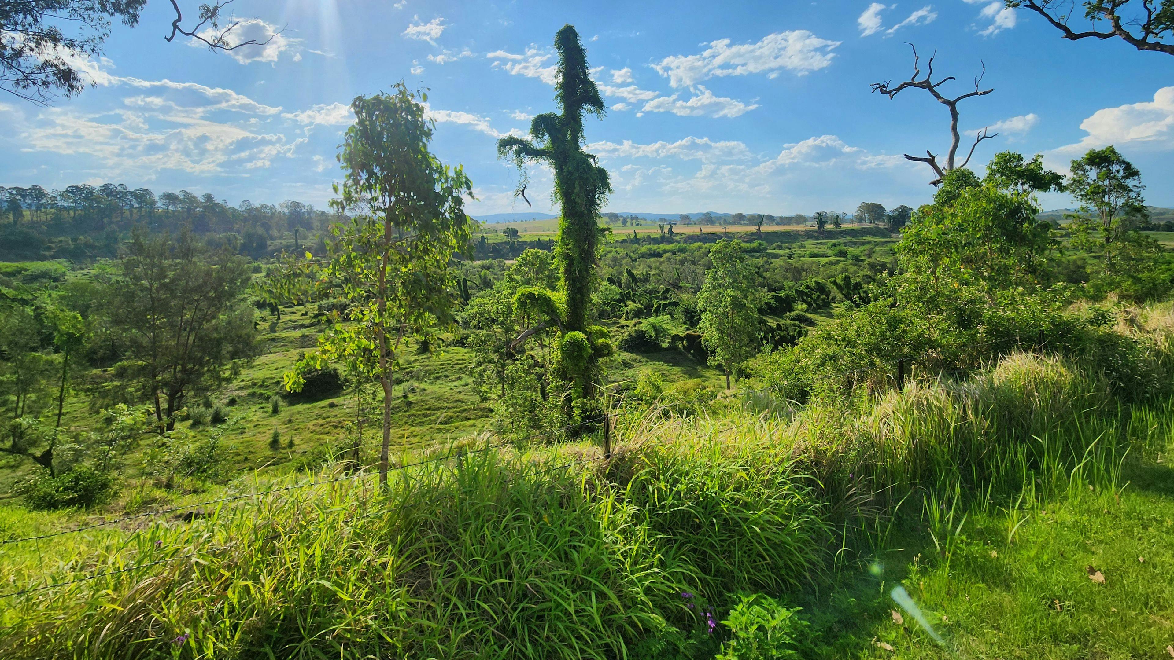 Tabulam Racecourse Reserve