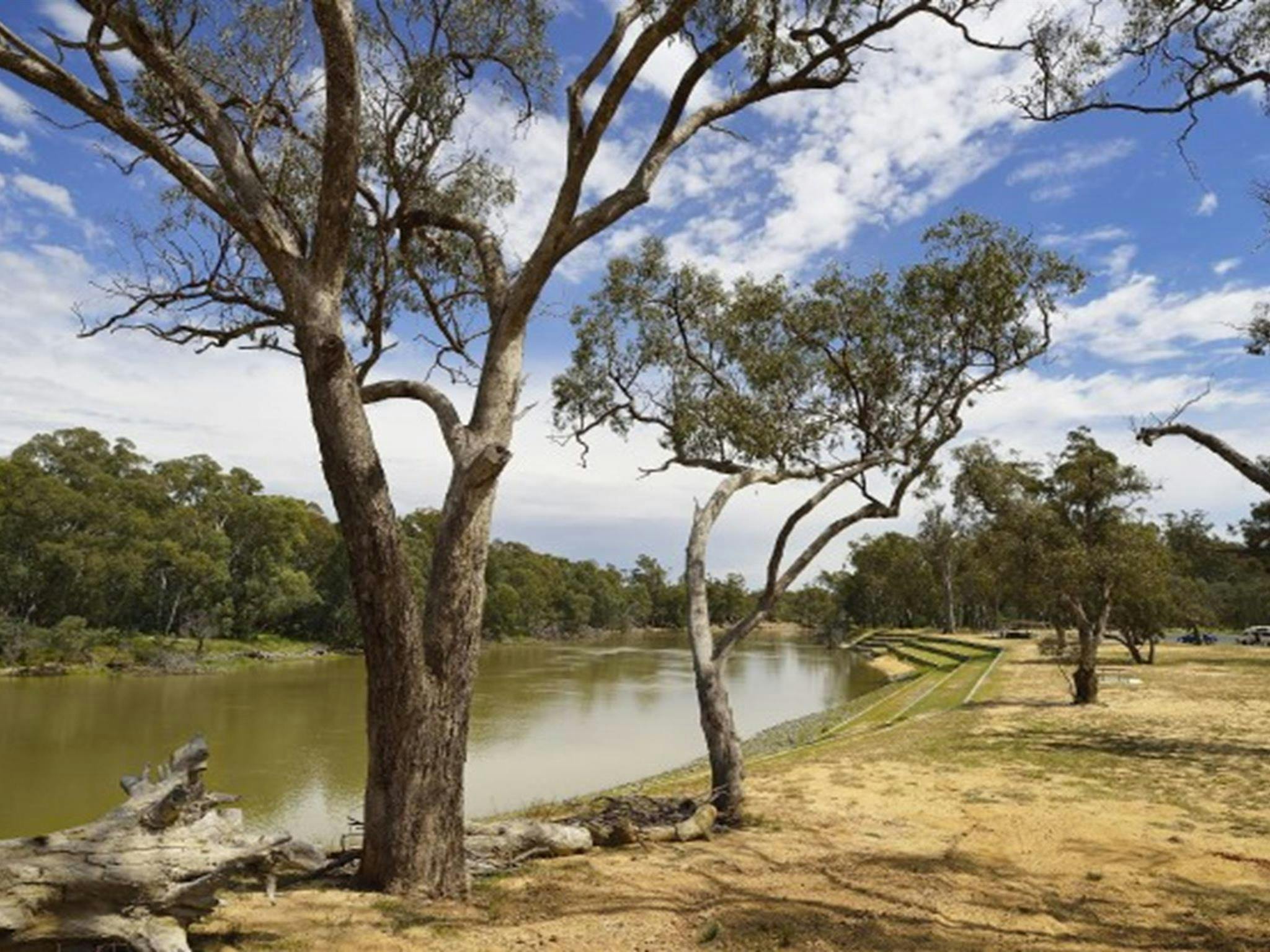 Five Mile picnic area, on the banks of the Murray River in Murray Valley Regional Park. Photo: Gavin