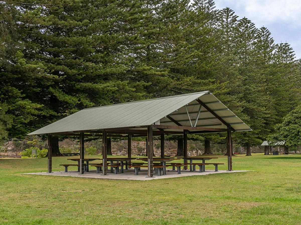 A group of picnic benches under a shelter surrounded by an open grassy picnic area. Credit: John