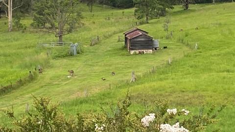 The Good Life Camping