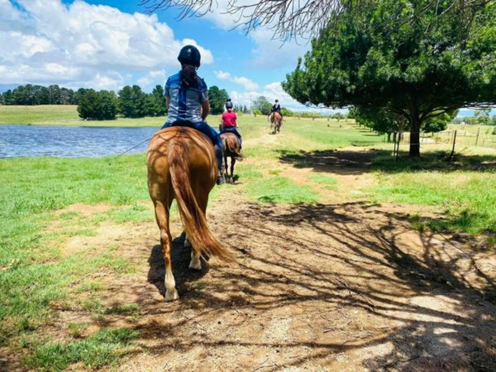 Gooromon Park Riding School