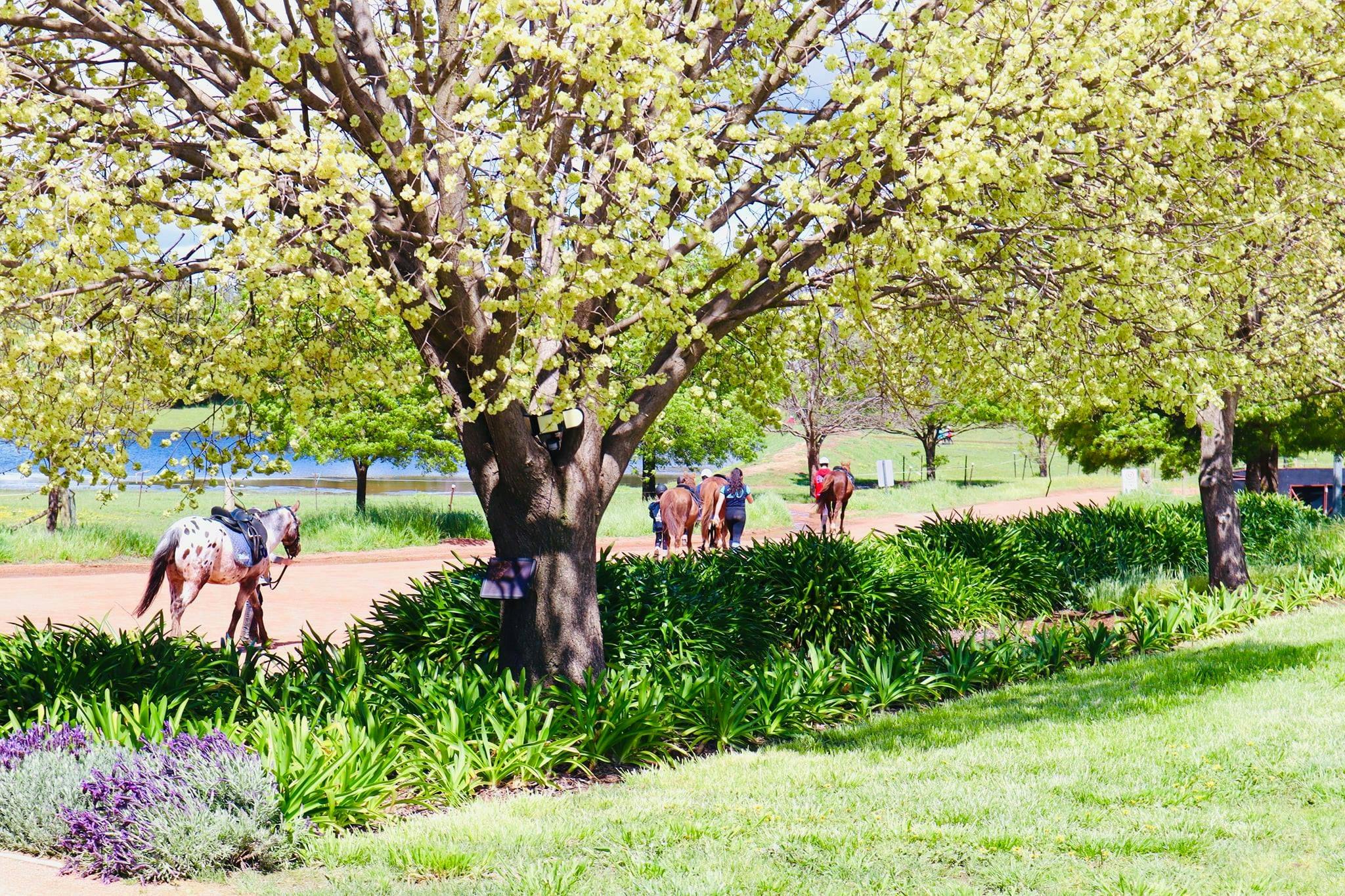 Gooromon Park Riding School