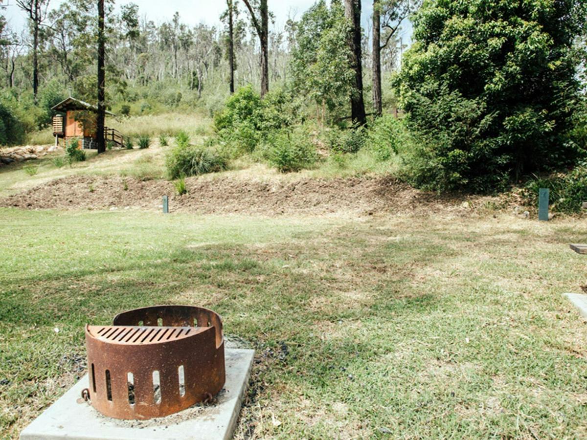 Fire pit and picnic table at The Junction campground, Nymboi-Binderay National Park. Photo: Jay
