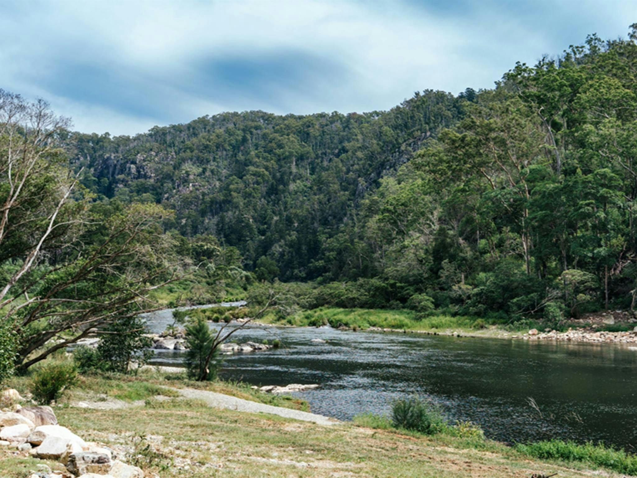 Campsite on the bank of Nymboida River, The Junction campground, Nymboi-Binderay-National-Park.