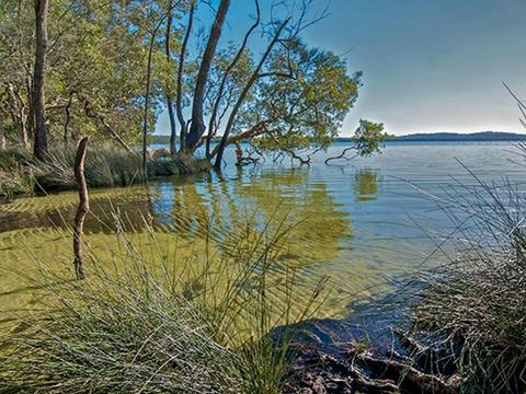 Shelly Beach campground