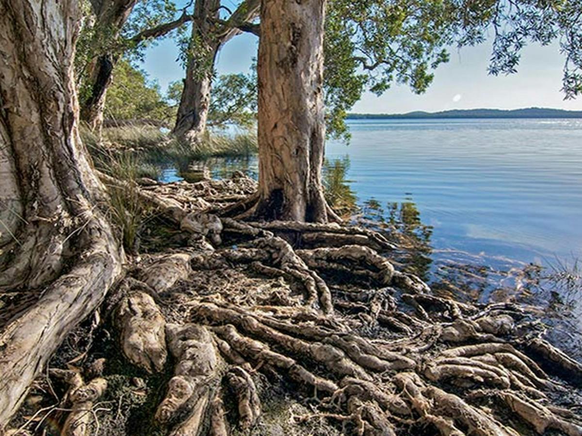 Shelly Beach campground, Myall Lakes National Park. Photo: John Spencer