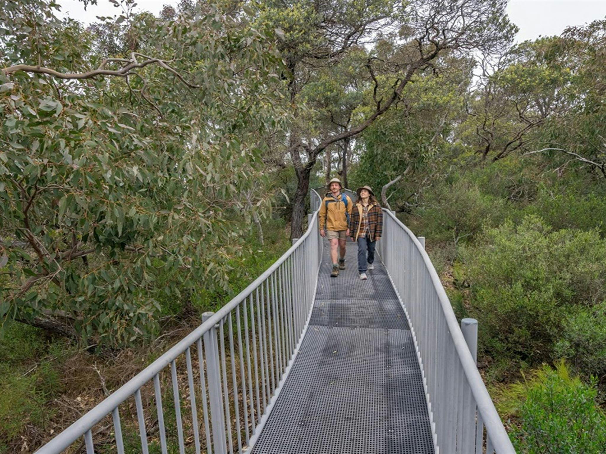 Two people walk along a narrow fenced bridge walkway to Adams lookout, Bungonia National Park.