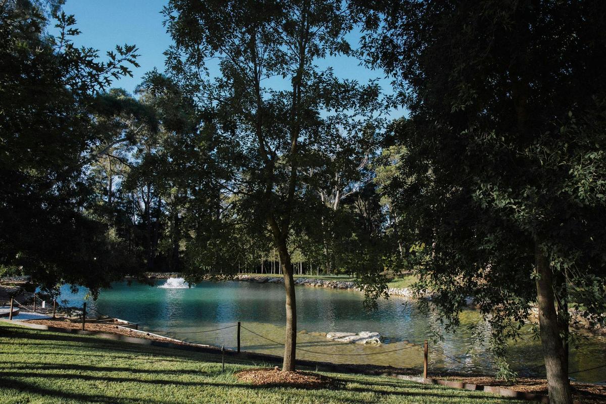 Swim pond